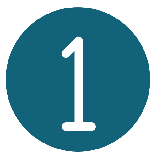 the number 1